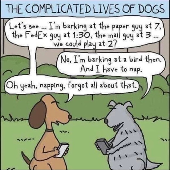 MEN - Picture 6 of 7